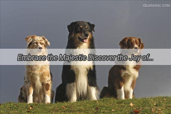 Embrace the Majestic Discover the Joy of Raising Giant Dog Breeds